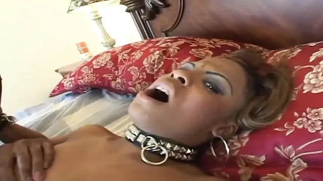 Black love masturbation pussy fingering big black dick sucking