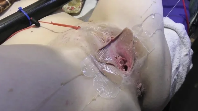 3 Licking Pussy Spread Far From Very Close