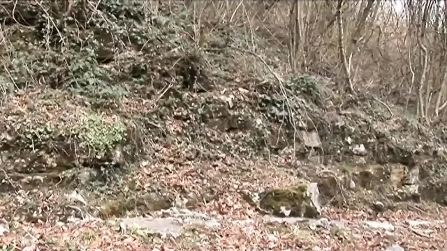 Italian dirty storyalone in the park with a real sexual fanatic