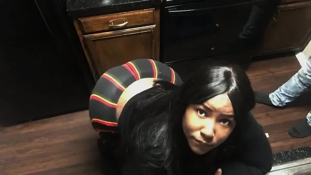 Big Booty Twerking Pleasures
