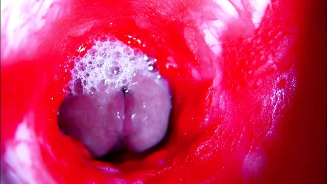 Extreme close-up ASMR head inside wet pussy