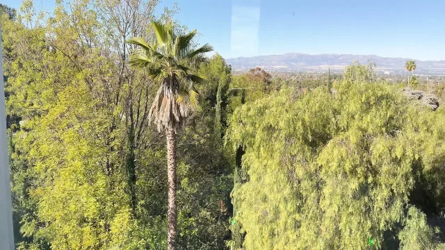 Interpol Mexico - with Lawson Jones and Luna Legend