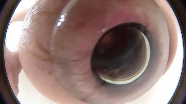 Lizzy Yum 2022 64 glory hole 2 colon and anus kiss camera