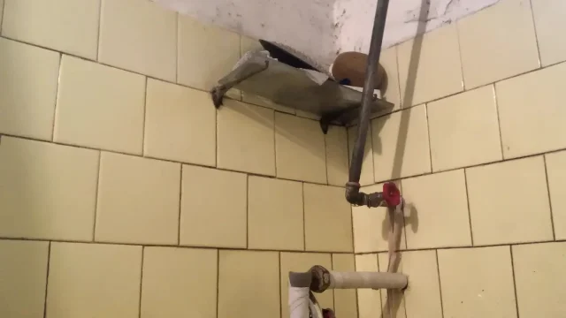 Horny babe in the bathroom
