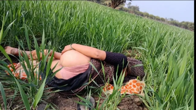 The Desi girl of the village yearning for sex in the outdoor wheat field is