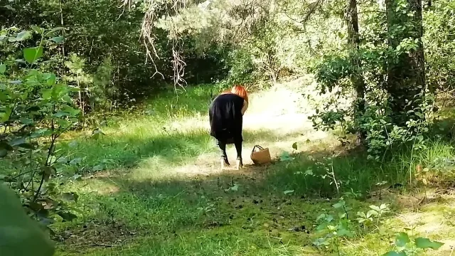 Caught a Red Fox in the Forest and Finished in His Mouth