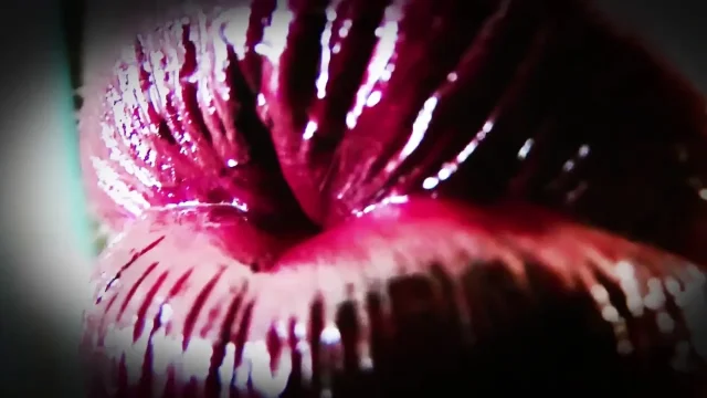 Compelled Into Kissing part5