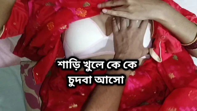 Seeing my girlfriend wearing a saree I couldn't control myself So I fucked her