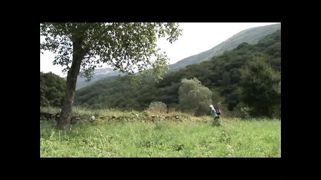 Big boobs fat milf pussy fucking in the forest